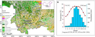 Surface phytolith and pollen assemblages of a low-latitude subtropical region in Southwest China and their implications for vegetation and climate